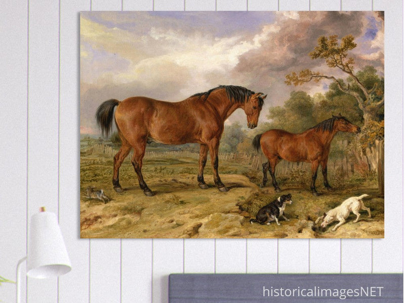 Old painting of horses by James Ward 1835. Portrait of Reformer, Blucher, Tory and Crib.