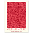 William Morris Bird and Anemone.