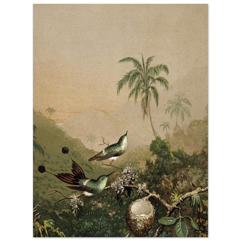 Brazilian Hummingbirds II by Martin Johnson Heade