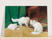Three white cats playing old painting by Arthur Heyer.