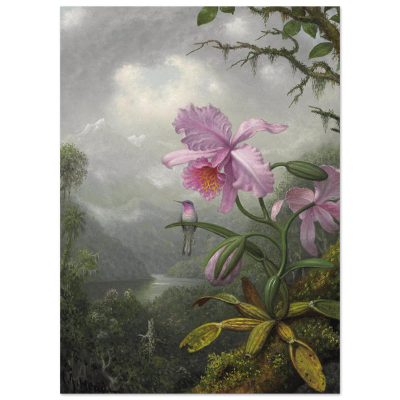 Hummingbird Perched on the Orchid Plant  by Martin Johnson Heade