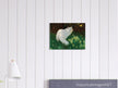 White Cat and Butterflies old painting by Arthur Heyer .