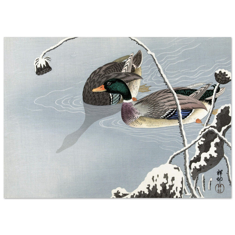 Two Mallards near a Snow-Covered Lotus by Ohara Koson