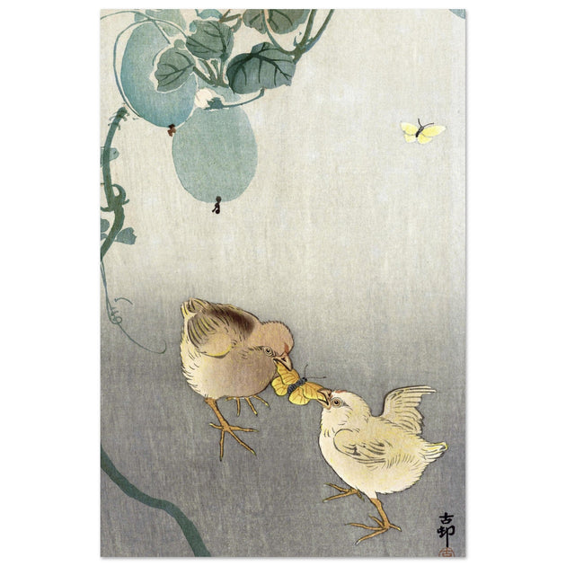 Two chicks fighting over butterfly by Ohara Koson Woodblock print