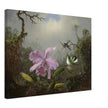 Cattleya Orchid with Two Brazilian Hummingbirds by Martin Johnson Heade