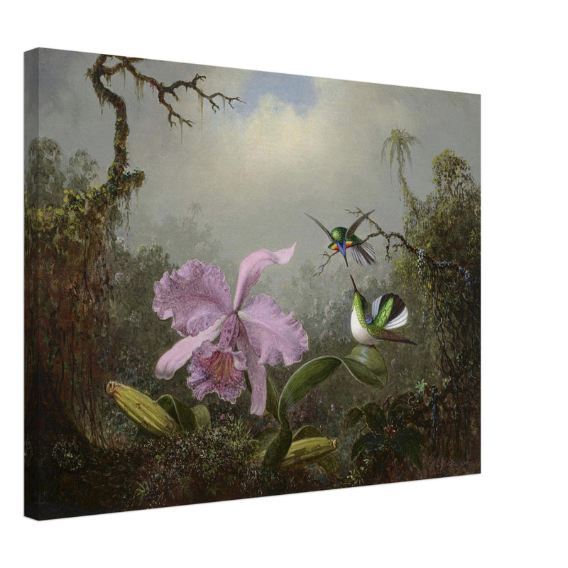 Cattleya Orchid with Two Brazilian Hummingbirds by Martin Johnson Heade