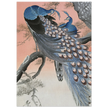 Two peacocks on tree branch by Ohara Koson