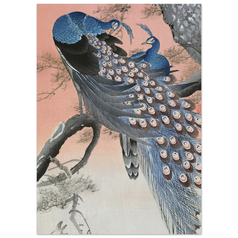 Two peacocks on tree branch by Ohara Koson