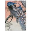 Two peacocks on tree branch by Ohara Koson