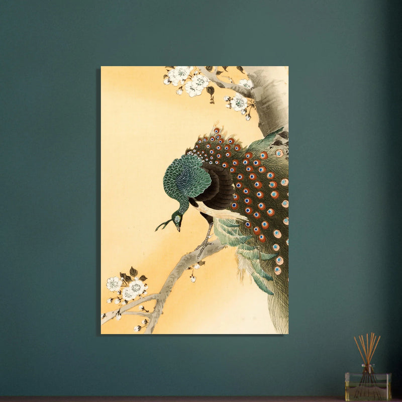 Peacock in cherry tree by Ohara Koson.
