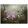 Cattleya Orchid with Two Brazilian Hummingbirds by Martin Johnson Heade