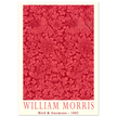 William Morris Bird and Anemone.