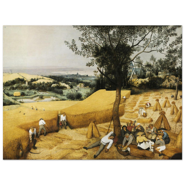 The Harvesters by Pieter Bruegel The Elder .