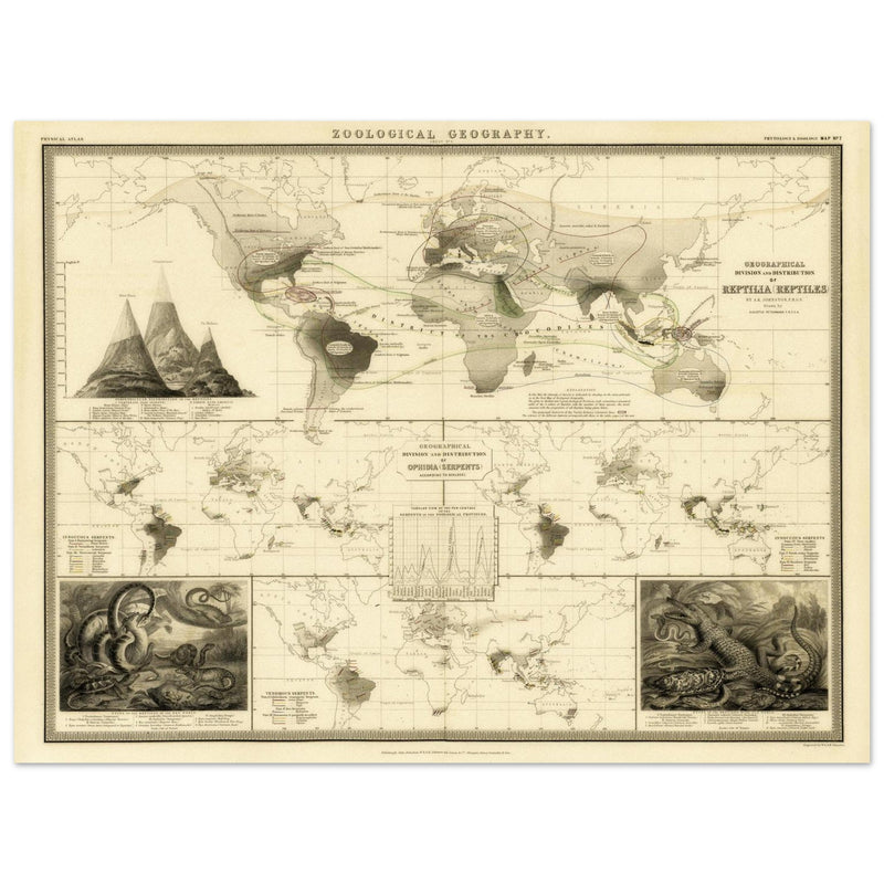 Reptile distribution old world map. Print  of zoology geography 1848 by Alexander Keith Johnston
