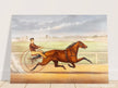 Harness horse racing lithograph. Mr. Bonner's Horse Joe Elliott by John Cameron.