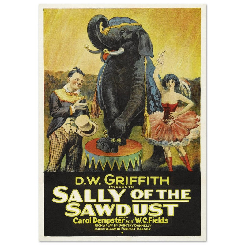 Sally of the Sawdust by D.W Griffith movie poster.