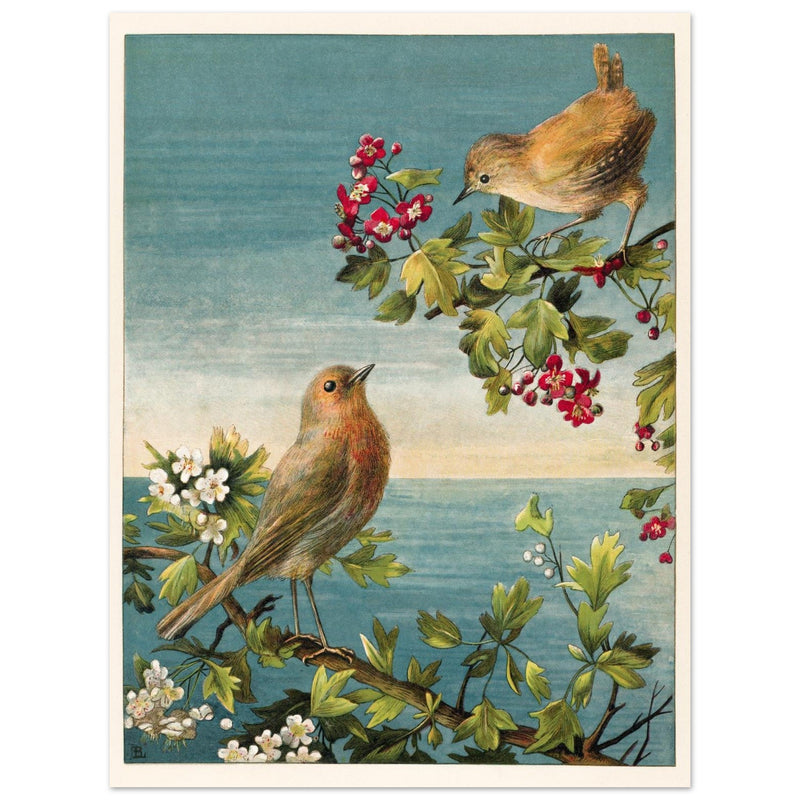 About Robins vintage cute bird illustration by Lady Lindsay.