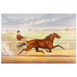 Harness horse racing lithograph. Mr. Bonner's Horse Joe Elliott by John Cameron.