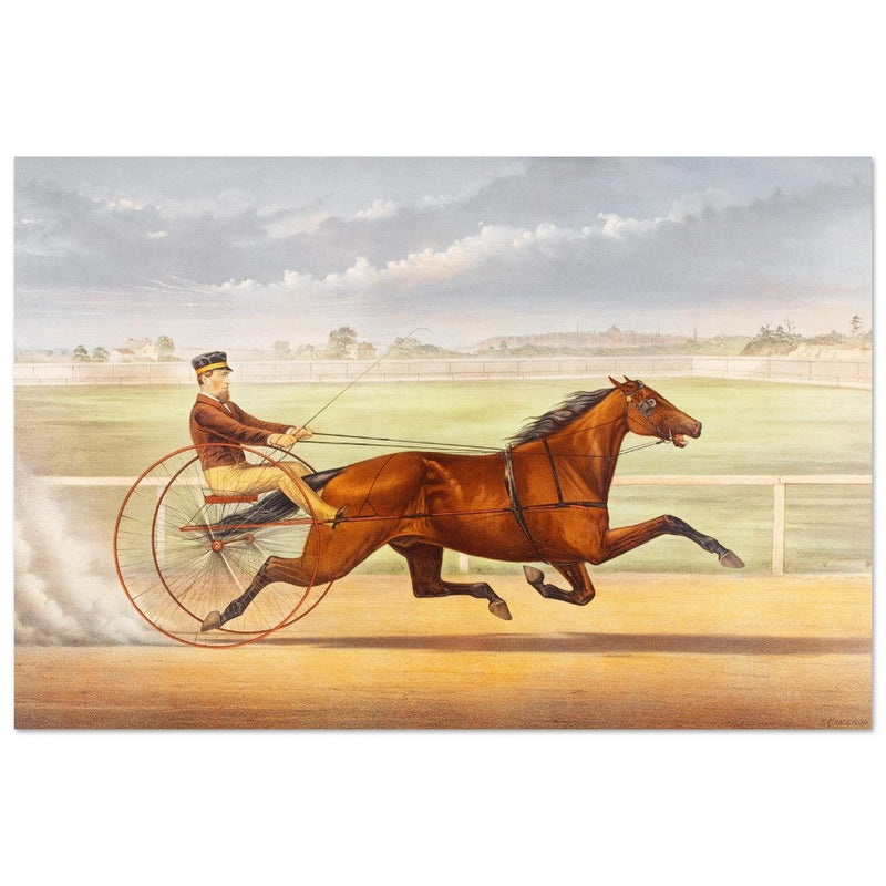 Harness horse racing lithograph. Mr. Bonner's Horse Joe Elliott by John Cameron.