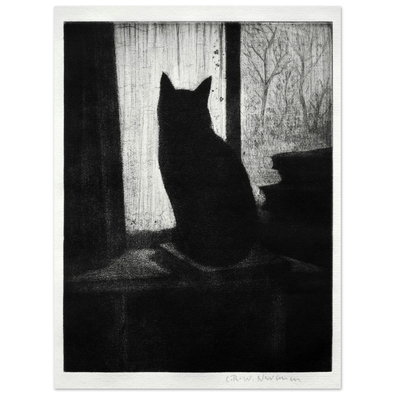 The Cat poster reproduction Author : Cristopher Richard Wynne Nevinson