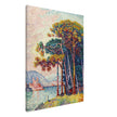 Paul Signac Antibes (la pinede) Pine trees painting