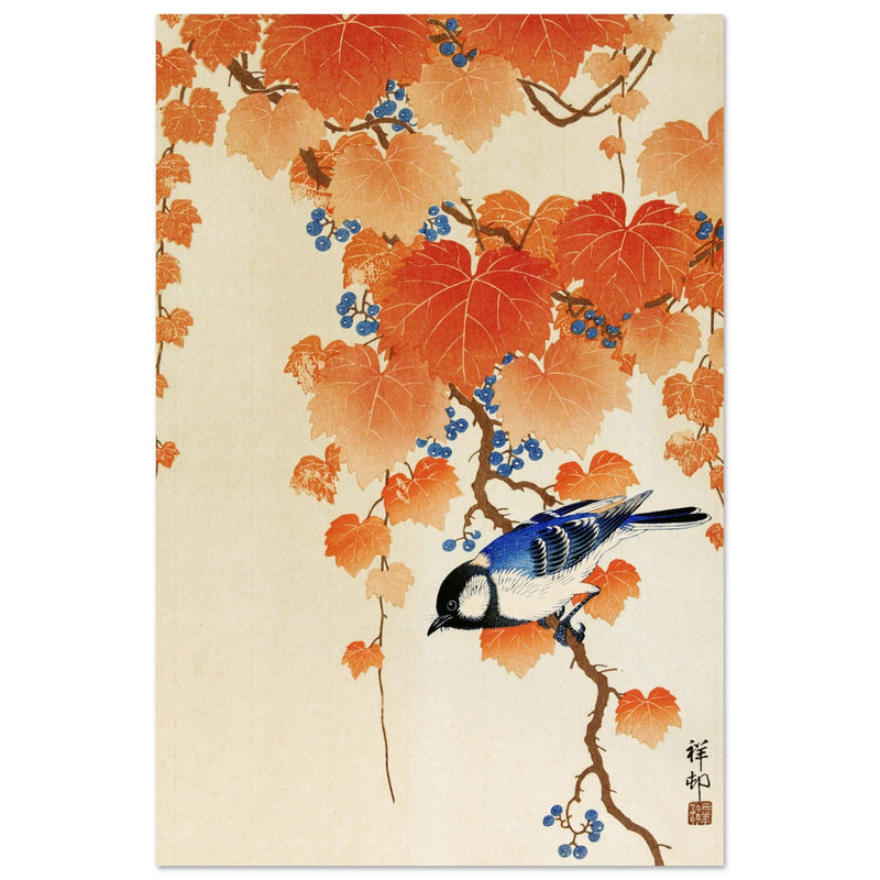 Great tit on paulownia branch by Ohara Koson woodblock print reproduction .