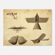 Different flying machines from the past. Old vintage airplanes. Aviation history.