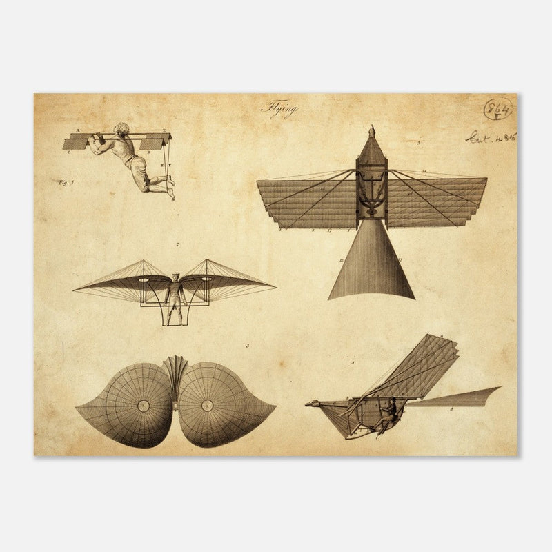 Different flying machines from the past. Old vintage airplanes. Aviation history.
