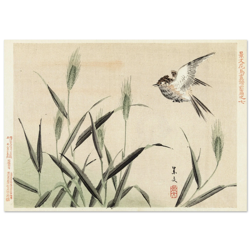 Bird flying among grasses by Matsumura Keibun, 1892.