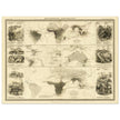 Mammiferous animal distribution old map  poster 1848 by Alexander Keith Johnston