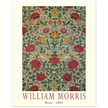 William Morris Rose 1883.