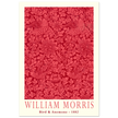 William Morris Bird and Anemone.