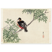 Black-red bird by Matsumura Keibun, 1892.
