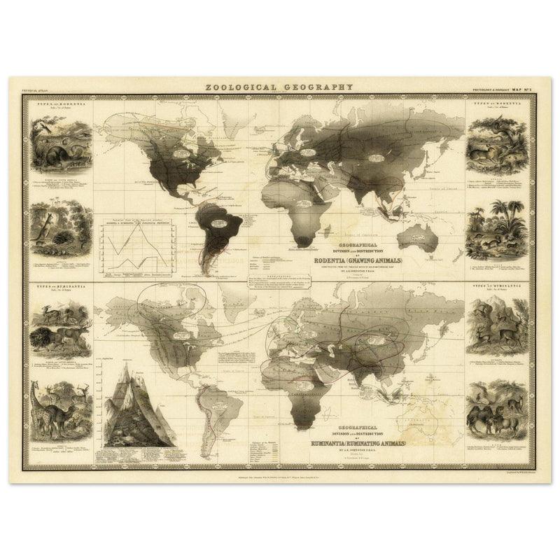 Old map of Gnawing animals distribution 1871 by Alexander Keith Johnston
