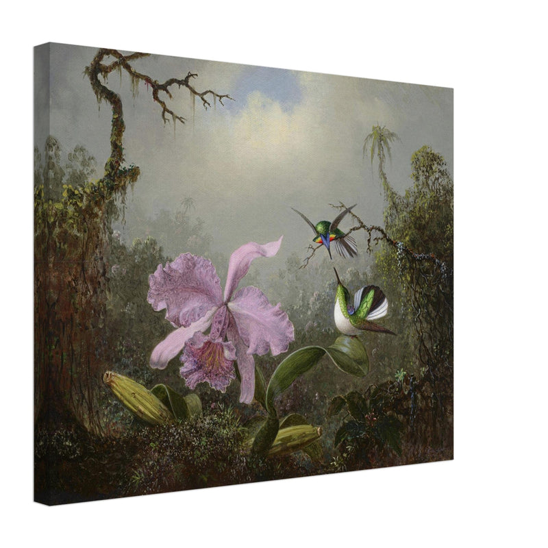 Cattleya Orchid with Two Brazilian Hummingbirds by Martin Johnson Heade