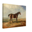 Old painting of brown horse by James Ward 1820.