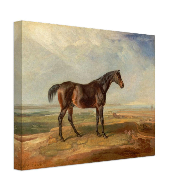 Old painting of brown horse by James Ward 1820.