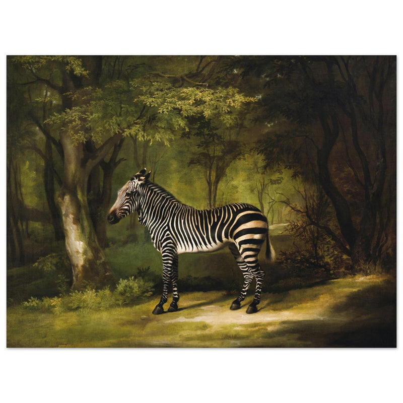 Zebra animal painting by George Stubbs.