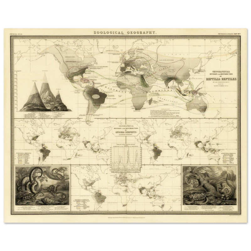 Reptile distribution old world map. Print  of zoology geography 1848 by Alexander Keith Johnston