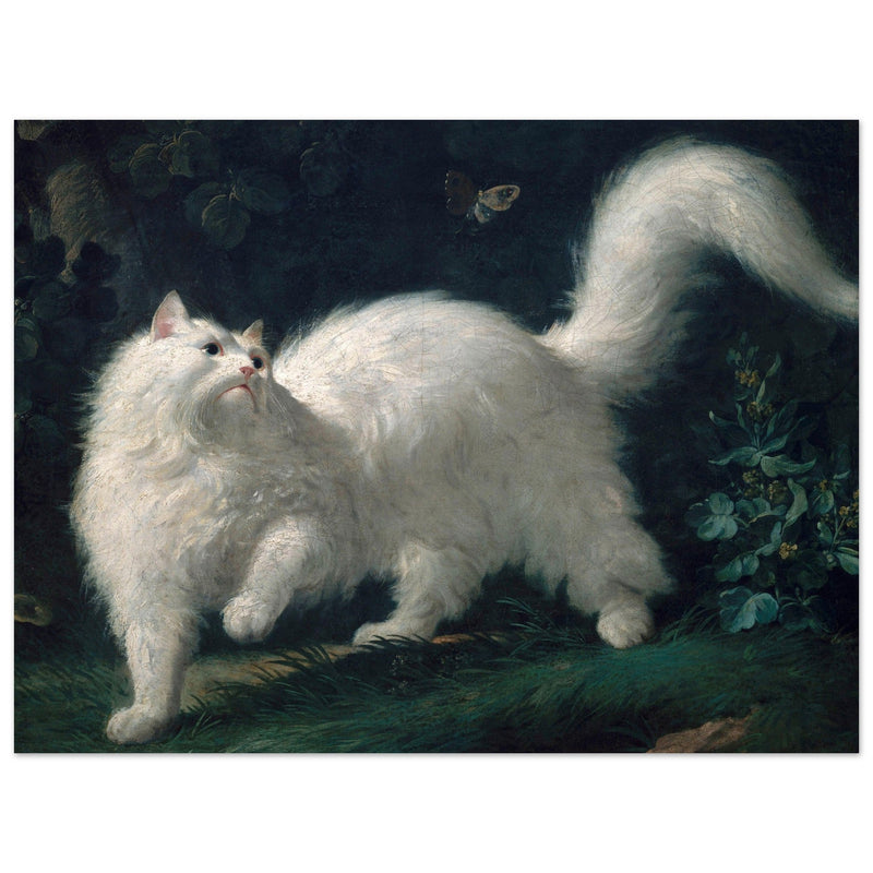 White Angora Cat painting by Jean-Jacques Bachelier poster