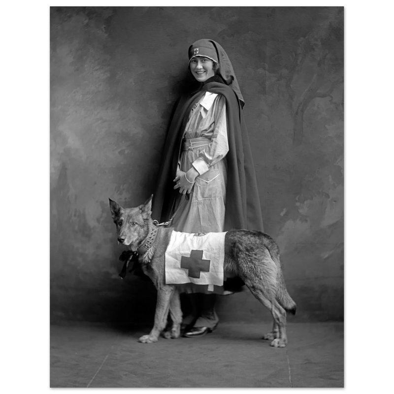 Red Cross nurse with dog poster reproduction by Harris & Ewing 1915-1918