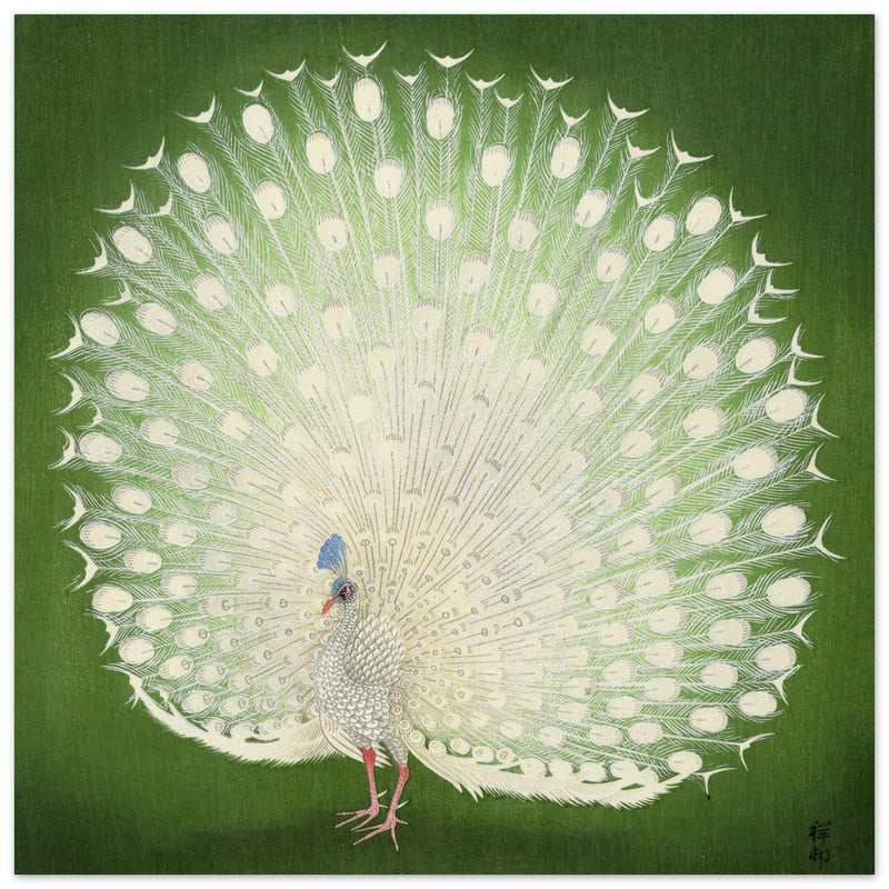 Peacock woodblock print by Ohara Koson
