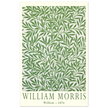 William Morris Willow
