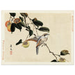 Bird and persimmon by Matsumura Keibun, 1892.