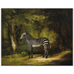 Zebra animal painting by George Stubbs.