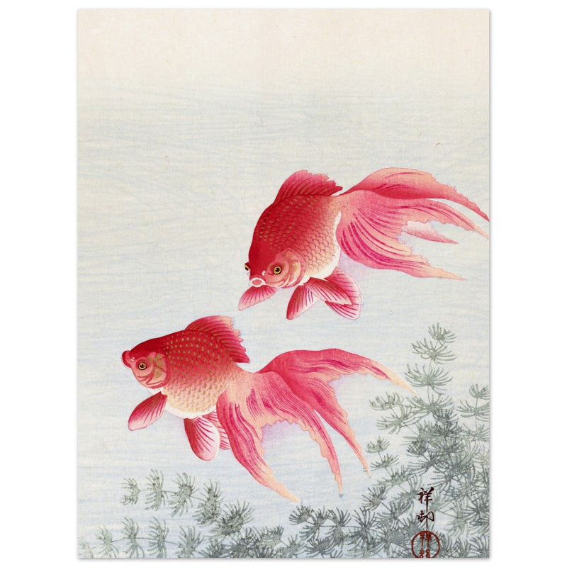 Two veiltail goldfish by Ohara Koson