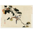 Bird and persimmon by Matsumura Keibun, 1892.