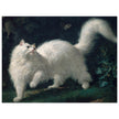White Angora Cat painting by Jean-Jacques Bachelier poster