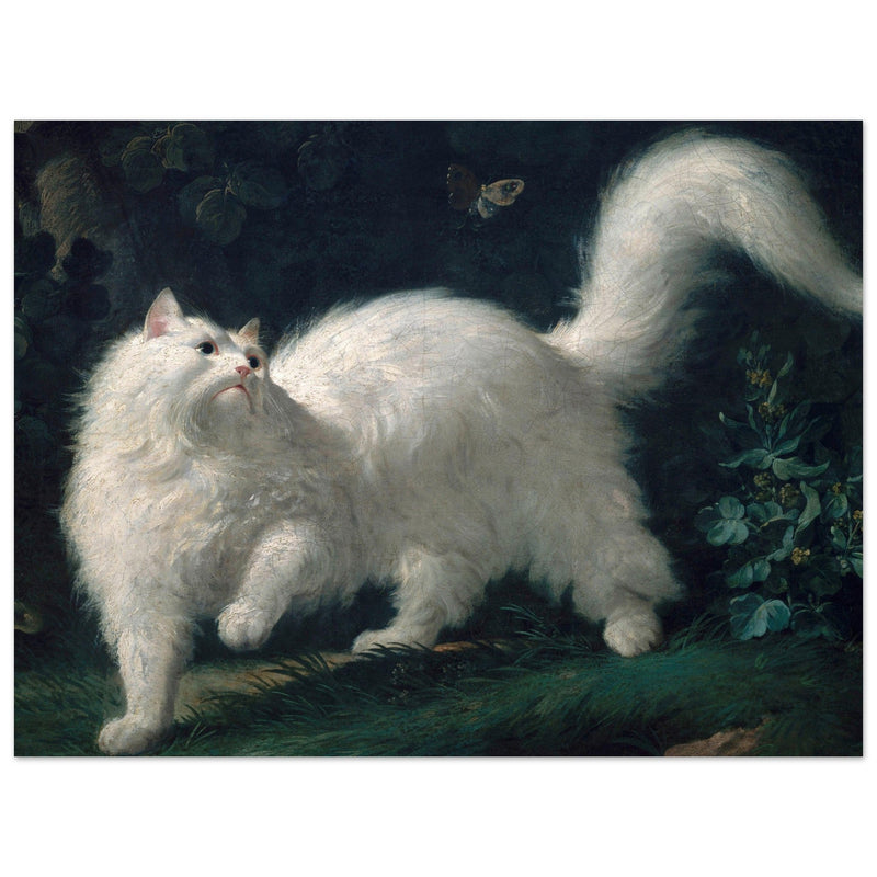 White Angora Cat painting by Jean-Jacques Bachelier poster