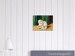 Cat with Ladybird old painting by Arthur Heyer.